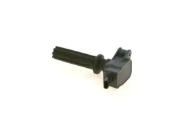 bosch-cewka-zaplonowa-0-221-604-700