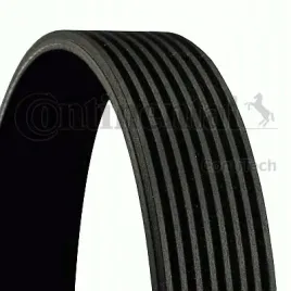 continental-ctam-con-pasek-wieloklinowy-8-pk-1247