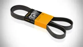 continental-ctam-con-pasek-wieloklinowy-6-pk-970