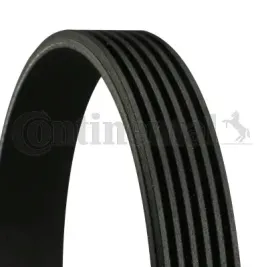 continental-ctam-con-pasek-wieloklinowy-6-pk-894