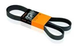 continental-ctam-con-pasek-wieloklinowy-6-pk-2150