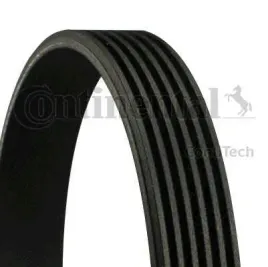 continental-ctam-con-pasek-wieloklinowy-6-pk-1685