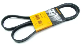 continental-ctam-con-pasek-wieloklinowy-6-pk-1605