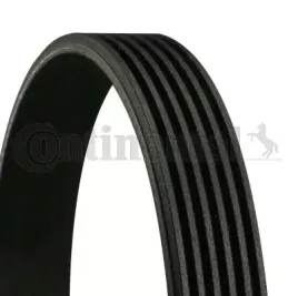 continental-ctam-con-pasek-wieloklinowy-6-pk-1249-elast