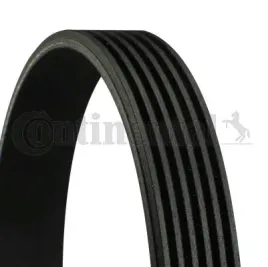 continental-ctam-con-pasek-wieloklinowy-6-pk-1390