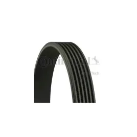 continental-ctam-con-pasek-wieloklinowy-6-pk-1020