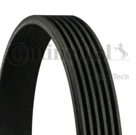continental-ctam-con-pasek-wieloklinowy-6-pk-1019-elast