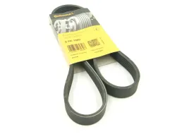 continental-ctam-con-pasek-wieloklinowy-6-pk-1080