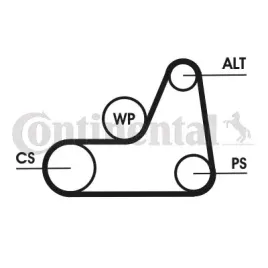 continental-ctam-con-pasek-wieloklinowy-6-pk-1042-elast