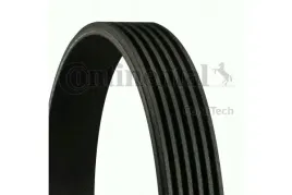 continental-ctam-con-pasek-wieloklinowy-5-pk-585