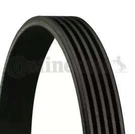 continental-ctam-con-pasek-wieloklinowy-5-pk-1236-elast
