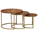 nesting-stoly-kawowe-3-szt-lite-drewno-mango-i-stal-marka-vidaxl