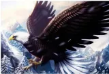 norimpex-diamentowa-mozaika-5d-orzel