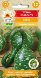 tykwa-pospolita-kobra-6-szt-nasion