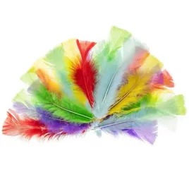 piorka-dekoracyjne-indycze-sciete-pastelowy-mix-brewis-10-15-cm