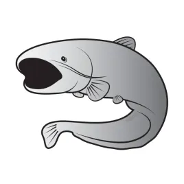 delphin-naklejka-wedkarska-srebrny-sum