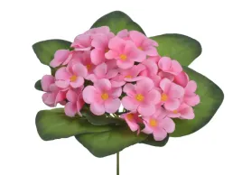 fiolek-afrykanski-18cm-rozowy-86can3021209-02