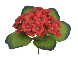 fiolek-afrykanski-18cm-czerwony-86can3021209-06