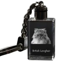 brytyjski-dlugowlosy-krysztalowy-brelok-ze-zdjeciem-kota-podswietlany-br