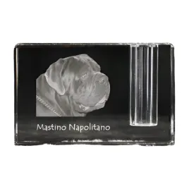 mastif-neapolitanski-neapolitan-mastiff-mastino-napoletano-stojak-na-dl