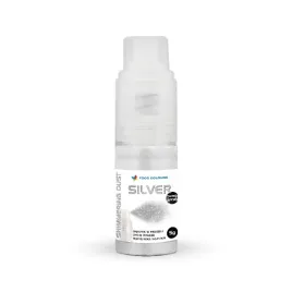 f-c-pump-new-silver-shimmering-spray-a5g-ws-p-1915