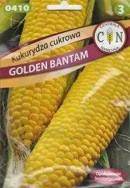kukurydza-cukrowa-golden-bantam-pyszna-slodka-soczysta-10g-kolby22-24cm