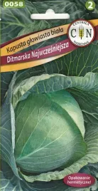 kapusta-glowiasta-biala-ditmarska-najwczesniejsza-duze-pyszne-glowki-2g