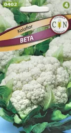 kalafior-beta-bardzo-wczesny-odporny-pyszny-do-bezposredniego-spozycia-1g