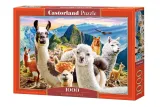 puzzle-1000-elementow-llamas-selfie