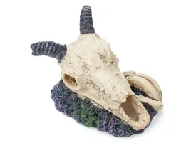 czaszka-antylopy-ozdoba-do-terrarium-akwarium-9cm-happet