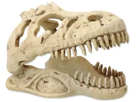 czaszka-t-rex-133x85x9cm-dekoracja-do-terrarium-repti-planet
