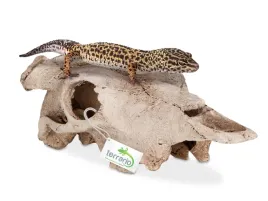 czaszka-bizona-do-terrarium-21x12x8-cm-buffalo-skull-terrario