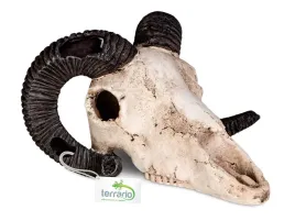czaszka-barana-do-terrarium-19x16x11-cm-ram-skull-terrario
