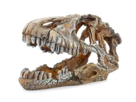 duza-czaszka-dinozaura-do-terrarium-lub-akwarium-happet