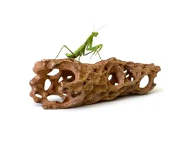 mala-kryjowka-do-akwarium-i-terrarium-17x55x5cm-pien-kaktusa-atd
