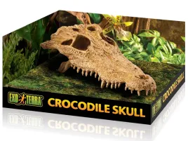 czaszka-krokodyla-crocodile-skull-exo-terra