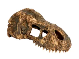 czaszka-tyranozaura-mala-t-rex-skull-exo-terra