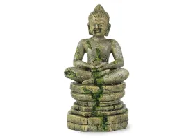 posag-do-terrarium-akwarium-hindu-buddha-16cm-happet