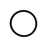 oring-25-2-can-am