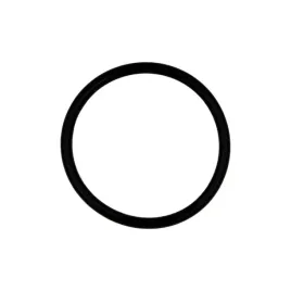oring-25-2-can-am
