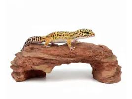 kryjowka-jaskinia-do-terrarium-21-cm-terra-natura
