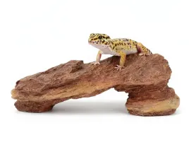 kryjowka-jaskinia-do-terrarium-20-cm-terra-natura