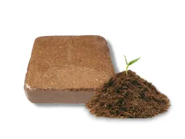 wlokno-kokosowe-podloze-do-terrarium-pure-coco-brick-xs-kostka-10x10cm