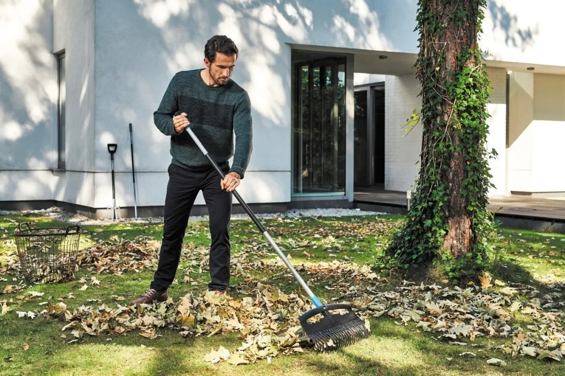 grabie-duze-do-lisci-ergo-cellfast