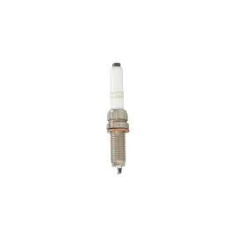 champion-swieca-zaplonowa-oe245