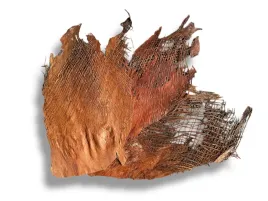 nasada-liscia-palmy-palm-hide-zestaw-3-4szt