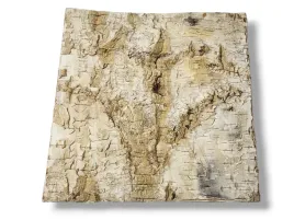 tlo-do-terrarium-pojemnika-z-naturalnej-brzozy-birch-wall-30x30