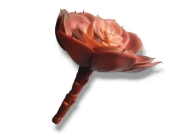 sukulent-sredni-roslina-sztuczna-typ-07