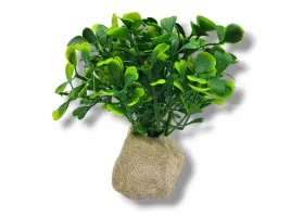 roslina-sztuczna-na-kamieniu-stoneplant-typ-06