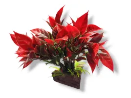 roslina-sztuczna-na-kamieniu-stoneplant-typ-08